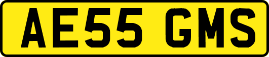 AE55GMS