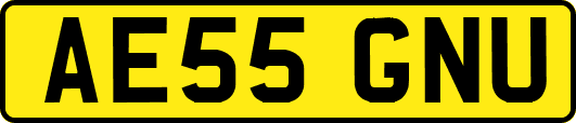 AE55GNU