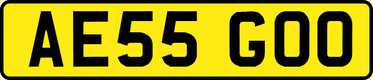 AE55GOO