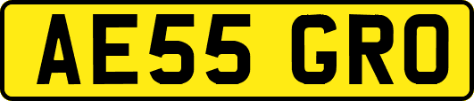 AE55GRO