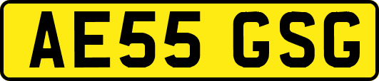 AE55GSG