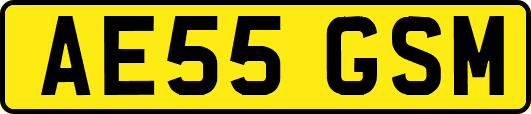 AE55GSM