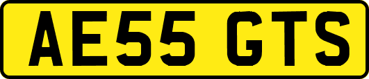 AE55GTS