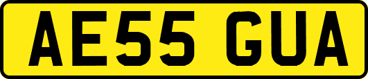 AE55GUA