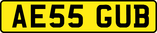 AE55GUB