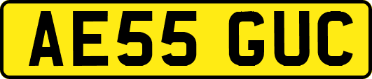 AE55GUC