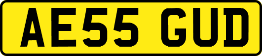 AE55GUD
