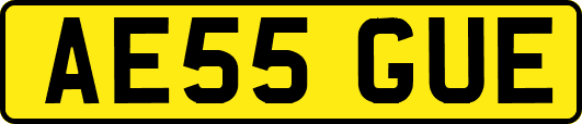 AE55GUE