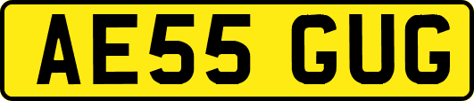 AE55GUG