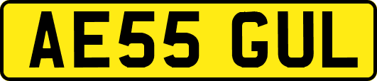AE55GUL