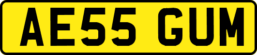 AE55GUM
