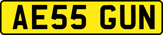 AE55GUN