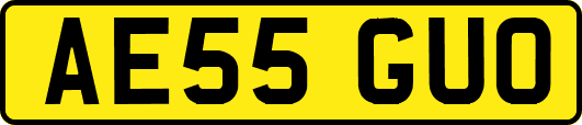 AE55GUO