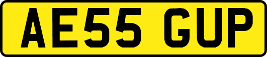 AE55GUP