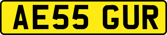 AE55GUR