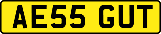 AE55GUT