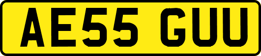 AE55GUU