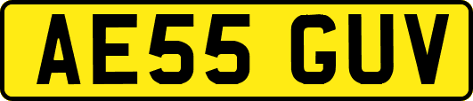 AE55GUV