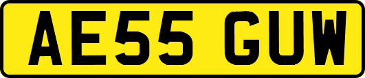 AE55GUW