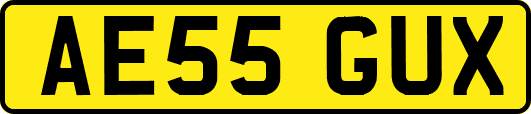 AE55GUX