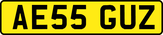 AE55GUZ