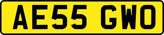 AE55GWO