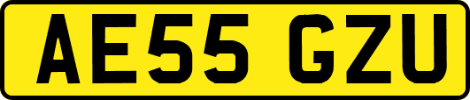 AE55GZU