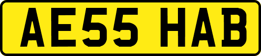 AE55HAB