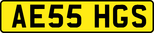 AE55HGS