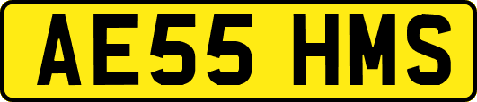 AE55HMS
