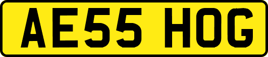 AE55HOG