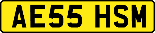 AE55HSM