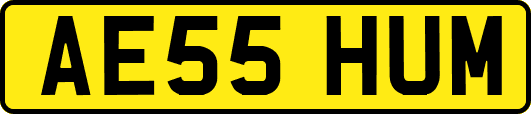 AE55HUM