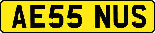 AE55NUS