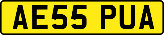 AE55PUA