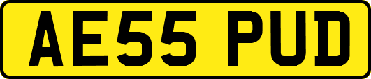 AE55PUD