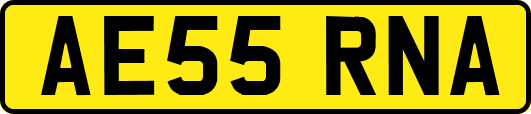 AE55RNA