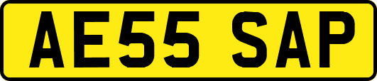 AE55SAP