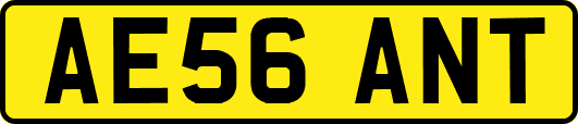 AE56ANT