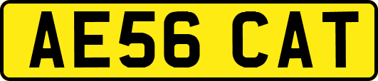 AE56CAT