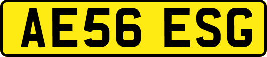 AE56ESG