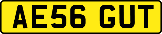 AE56GUT
