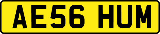 AE56HUM
