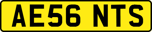 AE56NTS