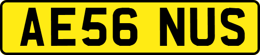 AE56NUS