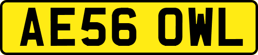 AE56OWL
