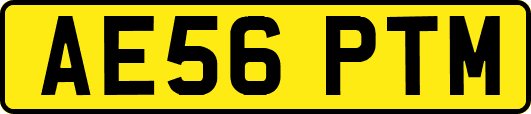 AE56PTM