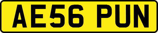 AE56PUN