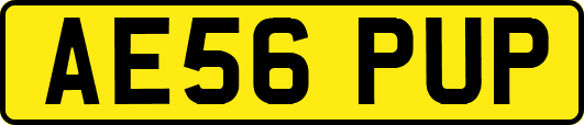 AE56PUP