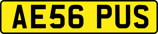 AE56PUS